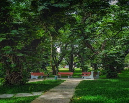 पार्क में प्राकृतिक संतुलन और आराम
